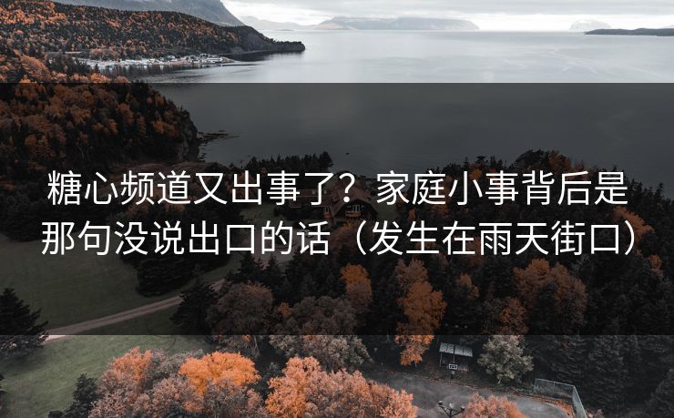糖心频道又出事了？家庭小事背后是那句没说出口的话（发生在雨天街口）