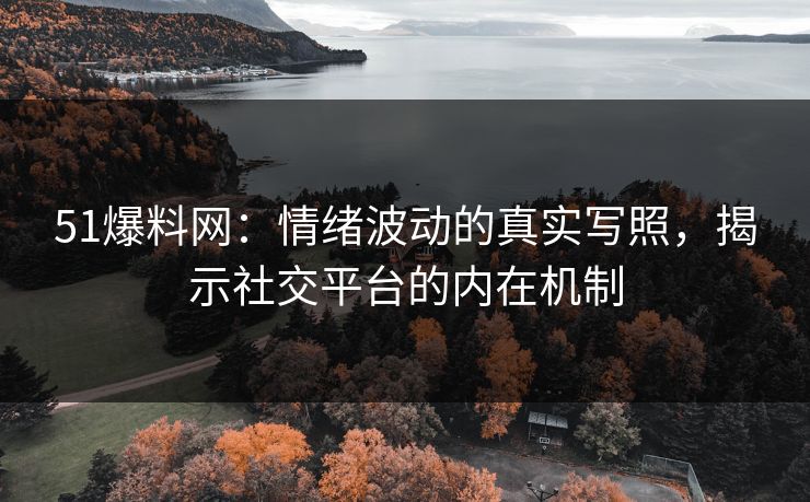51爆料网：情绪波动的真实写照，揭示社交平台的内在机制